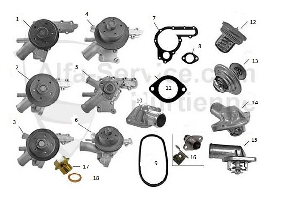 MOTEUR - Circuit de refroidissement -Pompes